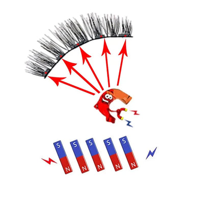 3D Magnetic Eyelashes with Curler and 5 Natural Pairs